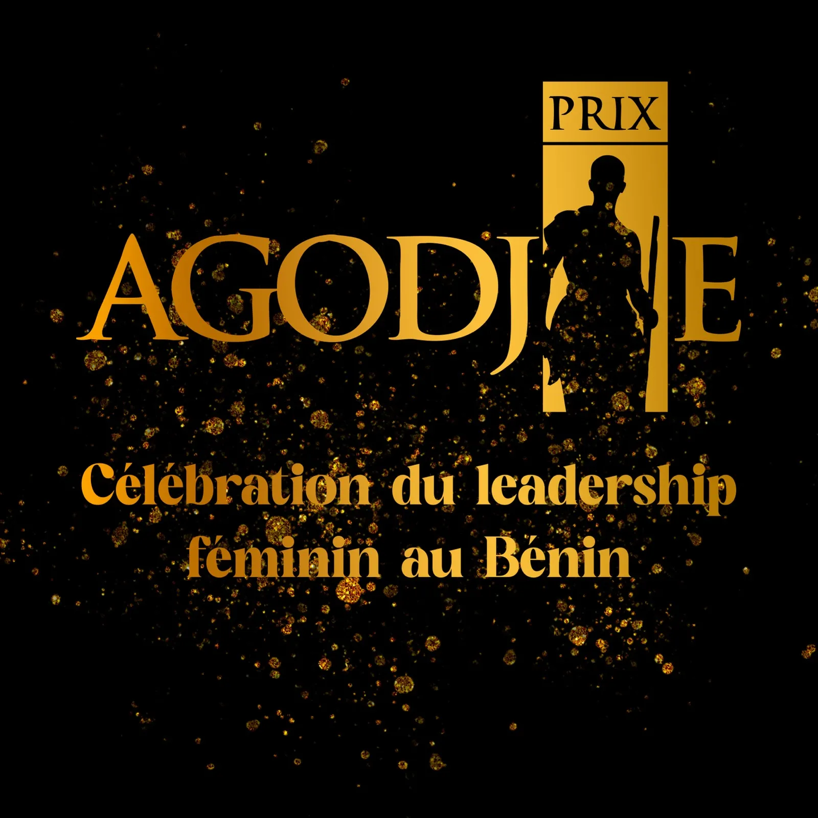 Prix Agodjié, visuel 18