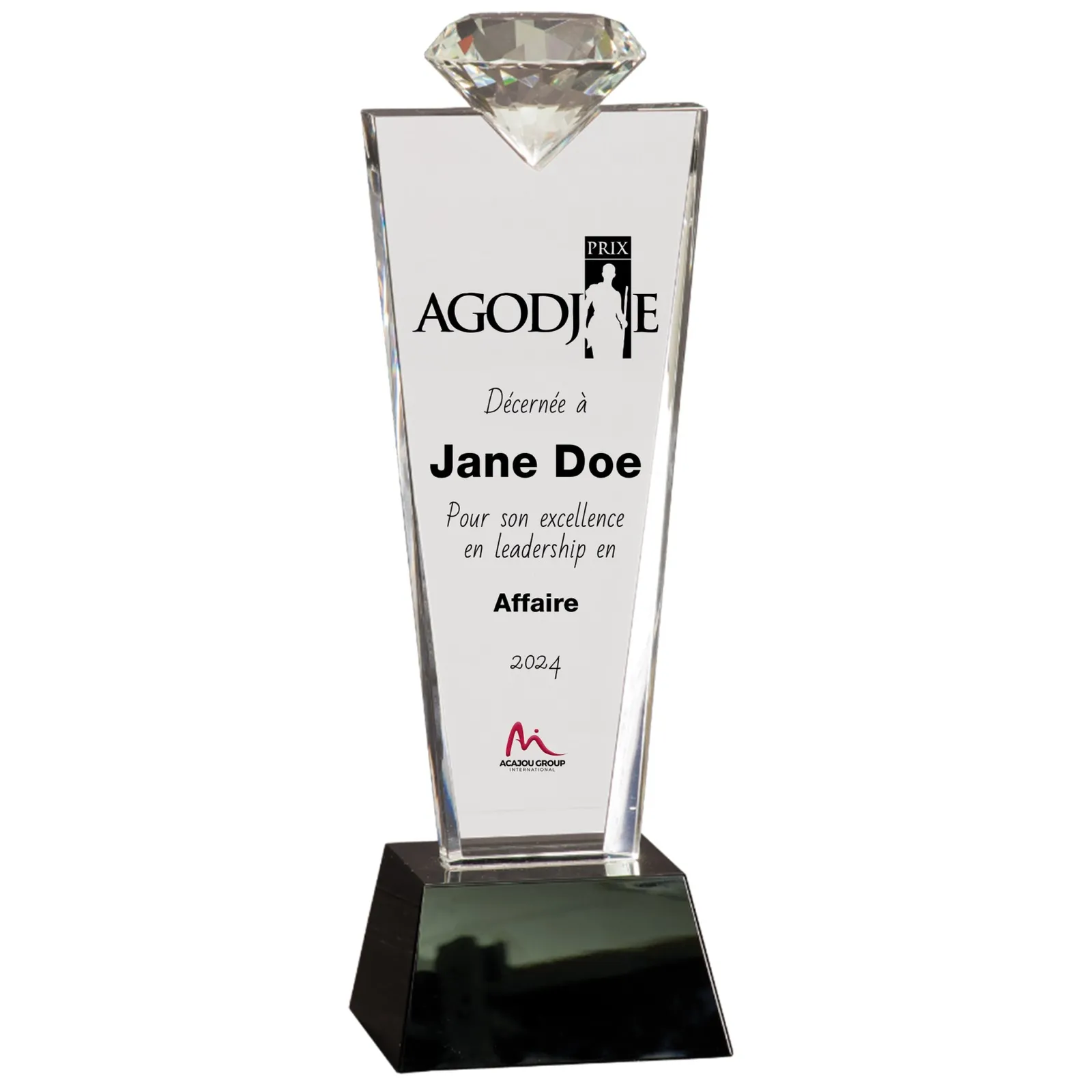 Prix Agodjié, visuel 20